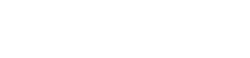 SettleANZ Logo
